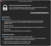 startup security utility.png